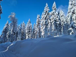 Apartmán Na Ramzové