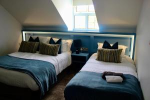 ODonnells Of Donegal