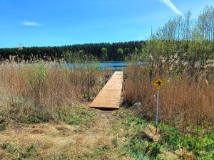 Leśny domek z prywatnym pomostem