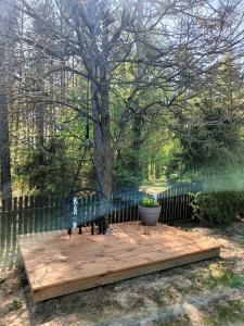 Leśny domek z prywatnym pomostem