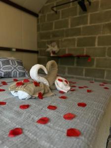 Cabanas Saruê - Ninho