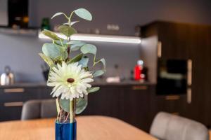 Luxury Loft Apartment Akureyri