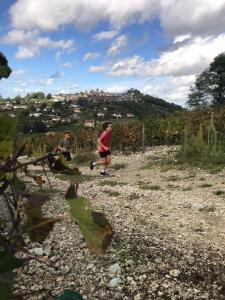 Maisons de vacances les petits sportifs : photos des chambres
