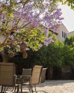 Suites Campestres Montebello