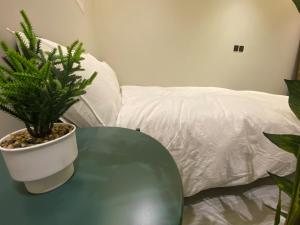 Studio Neighborhood Al-Masif