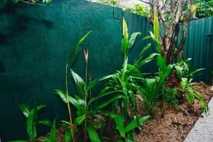 Perfect Location 4BR Home Warana - 200m to Beach!