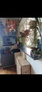 Appartements Charmant 2 pieces a Arcueil Calme, tout equipe RER B, Maison des Examens : photos des chambres