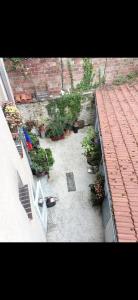 Appartements Charmant 2 pieces a Arcueil Calme, tout equipe RER B, Maison des Examens : photos des chambres