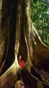 Rincon Ecologico Cultural Terraba