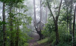 Rincon Ecologico Cultural Terraba