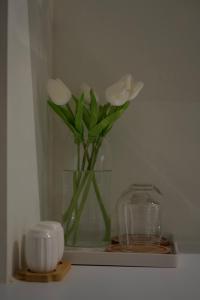 New Bazaar Azurè Apartments Tirana