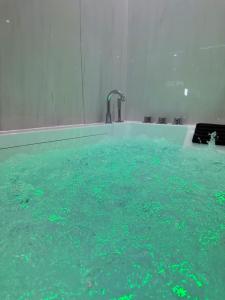 Appartements Private suite with jacuzzi sauna and garden : photos des chambres