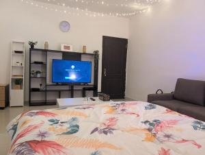 Cozy Studio apartment big place