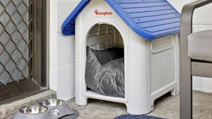 Sunset Palms - Stylish Retreat, BBQ, Walk to Beach