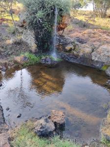 CradleLicious camp & caravan