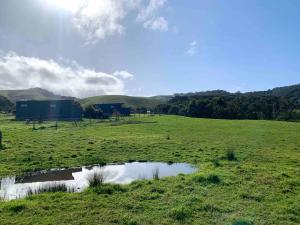 Farm Stay - Apollo Bay Tiny Stays