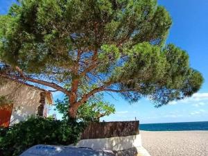 Maisons de vacances Maison Climatisee 4 Pers, Parking, Argeles-sur-Mer - FR-1-776-136 : Maison de Vacances