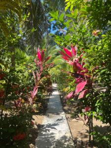 Secret Paradise
