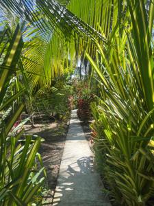 Secret Paradise