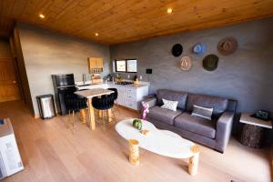 stargazing grand canyon skylight tiny home venus