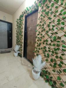 Montaza eligance compond