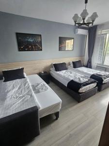 Apartment Mladost 1