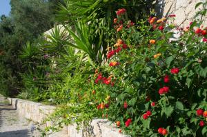 Villages vacances Hotel et Residence Benista : photos des chambres