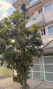 Loft perfecto para foro sol aeropuerto GNP