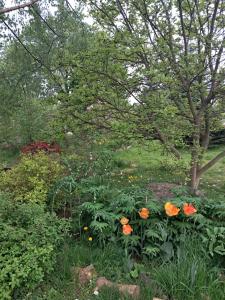 Przytulia Apartament Błękitny