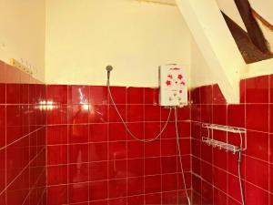 Ciwidey Jungle Camp & Cabin