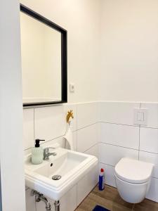 Perfect for fans and travelers