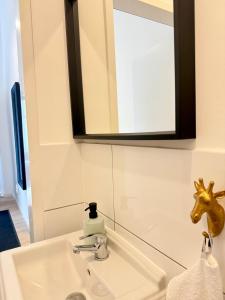 Perfect for fans and travelers