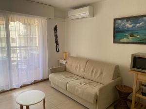 Studio 3 étoiles aperçu mer clim parking privé