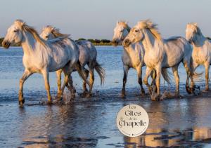 Les Gîtes de la Chapelle 4