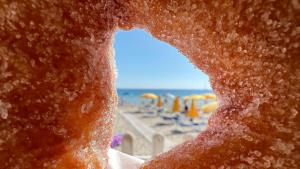 Chris House Mondello