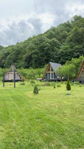 Cabane A-Frame Svinița
