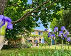 Maisons de vacances Mas provencal, entre vignes et oliviers : photos des chambres