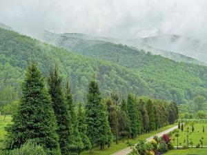 садиба В ГОРАХ у Аліни