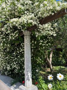 Villa Anica Dubrovnik - luxurious with a sea view