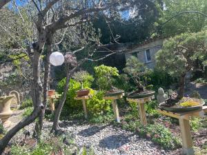 Maisons d'hotes Lou Pero Mousco : photos des chambres