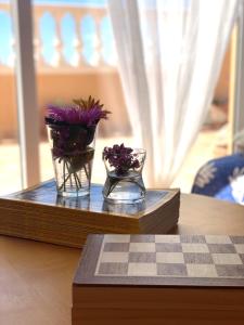 La Brisa de Terreros