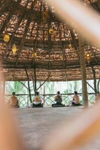 Dryft Darocotan Island