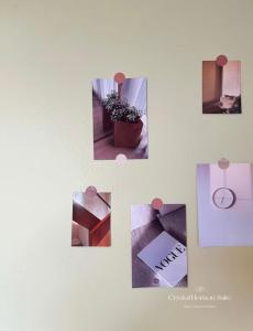 Crystal Horizon Suite