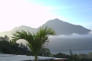 Cinze Villas and Hot Spring