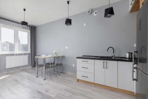 Partyzantów Monochrome & Modern Studio in Sosnowiec by Noclegi Renters