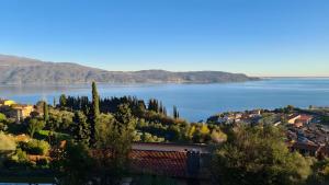 Residence Virgilio Yellow