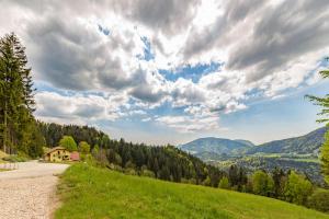 Sunflower House with Jacuzzy and Sauna