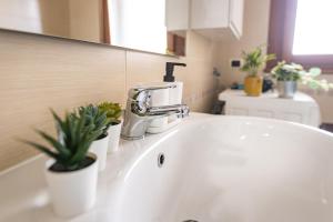 NEST LIVING - Evergreen