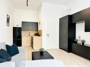 Studio u Majki V