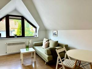 Studio Leśny Żubr IV